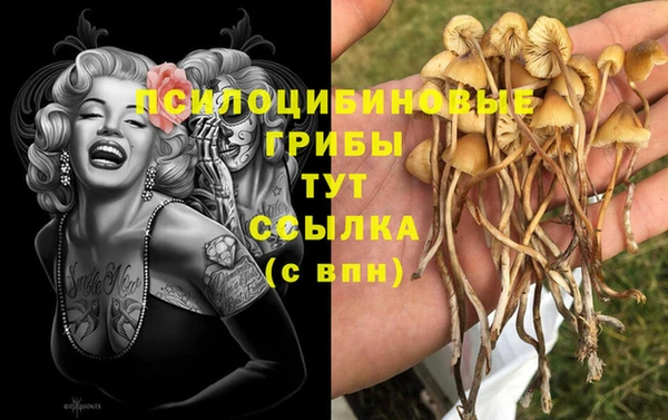 амфетамин Алексин