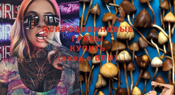 крисы Алексеевка